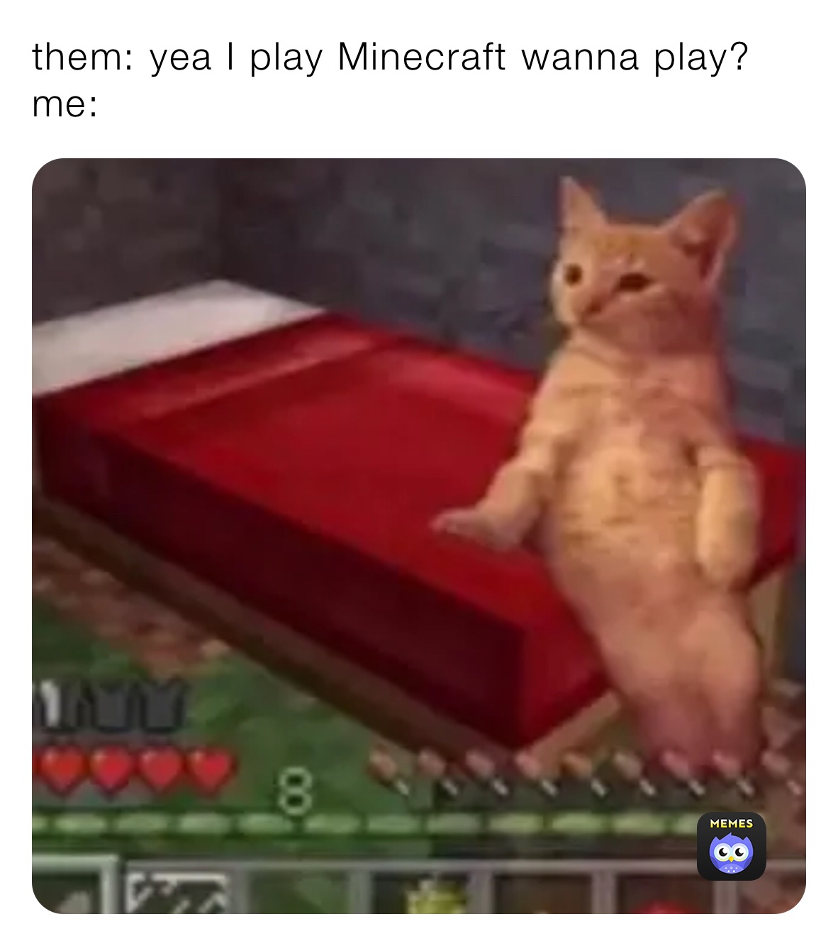 them: yea I play Minecraft wanna play? 
me: 