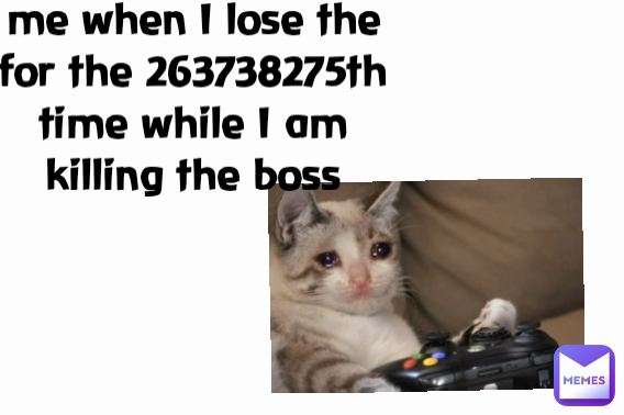 me when I lose the for the 263738275th time while I am killing the boss