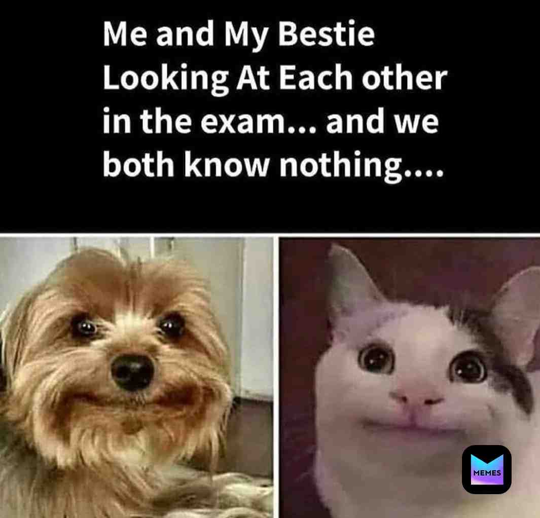 #legendarymemes  #funnymemes  #comico