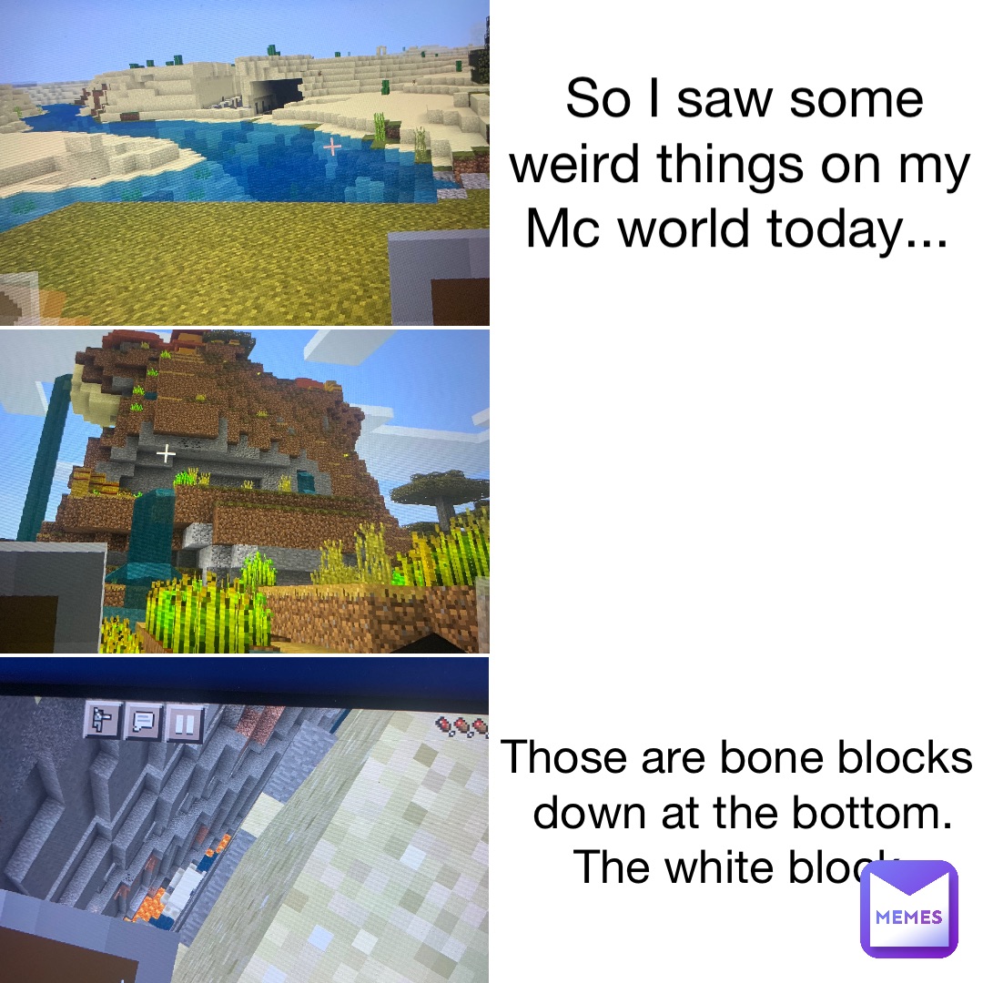 So I saw some weird things on my Mc world today... Text here Those are bone  blocks down at the bottom. The white block | @Willy_Wanka | Memes