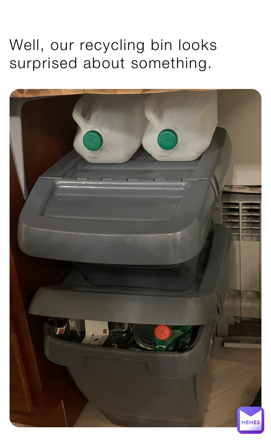 Well, our recycling bin looks surprised about something.
