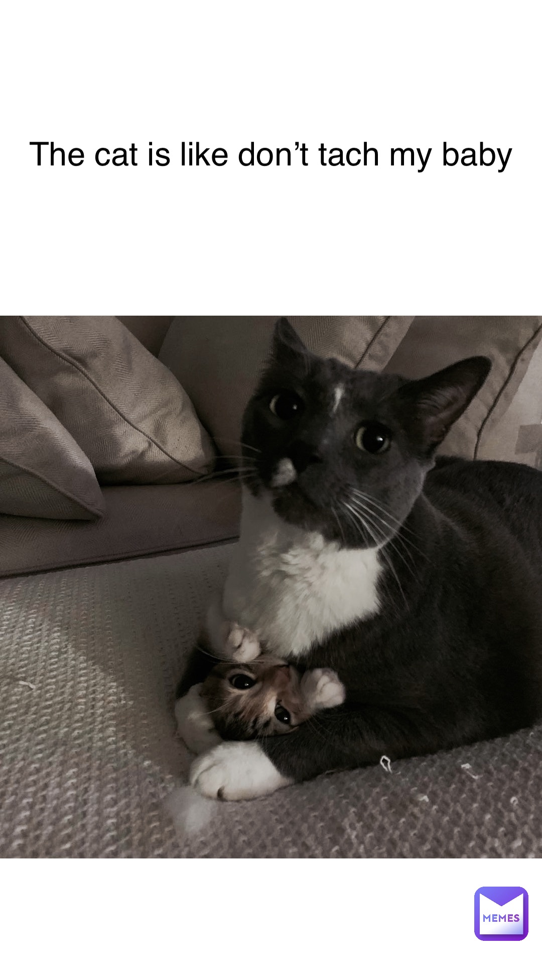 Meme by piperrockelle_fan