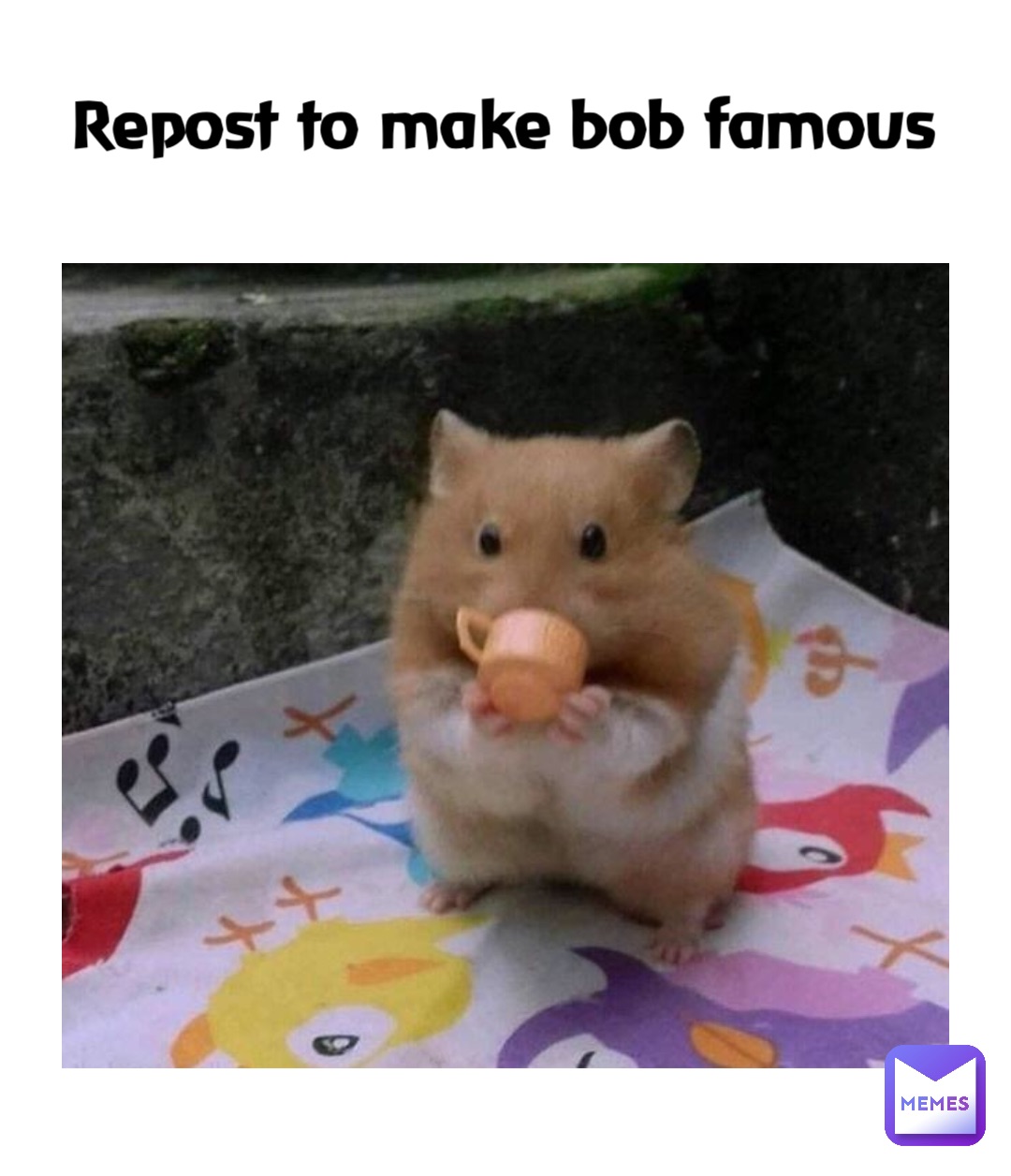 Repost to make bob famous