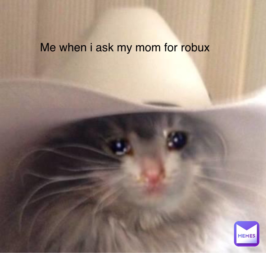 Me when i ask my mom for robux