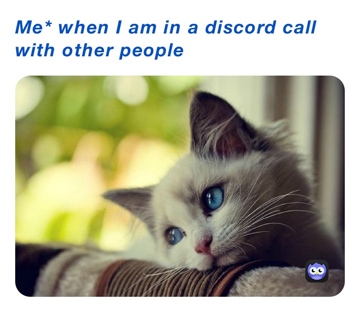 Me* when I am in a discord call with other people