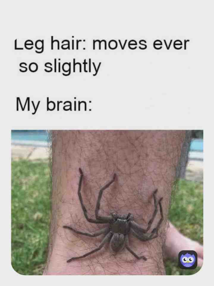 Meme shared by @BATMAN2007