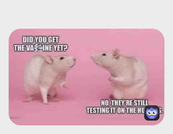 Dont get the vaccine