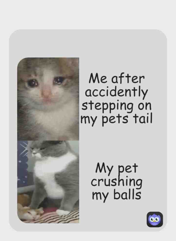 Meme shared by @BATMAN2007