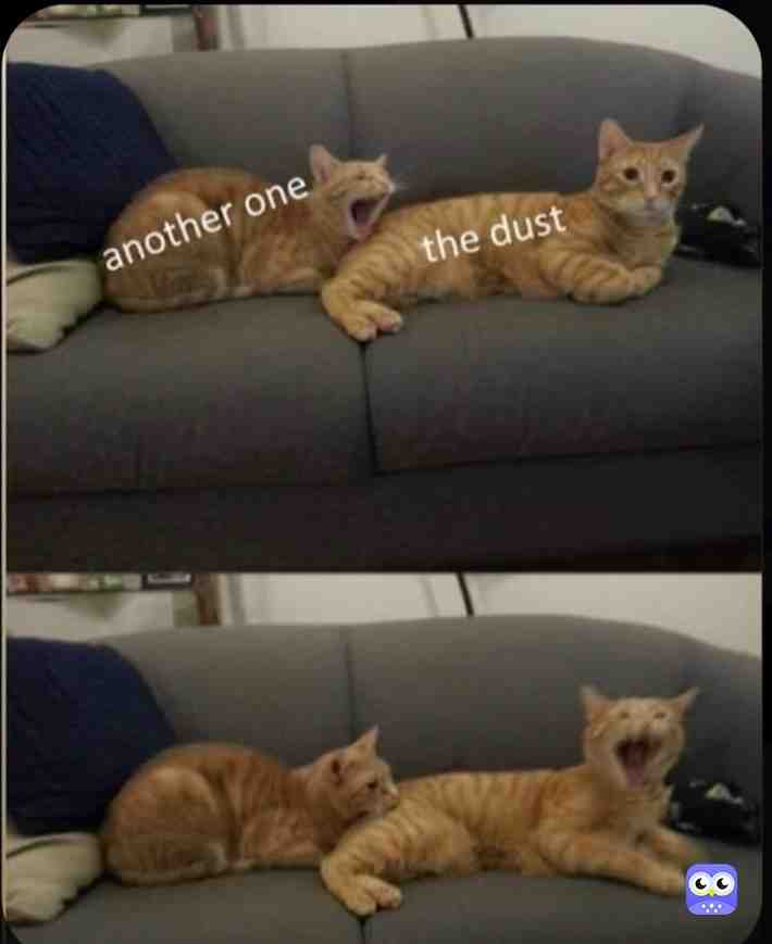 Meme preview