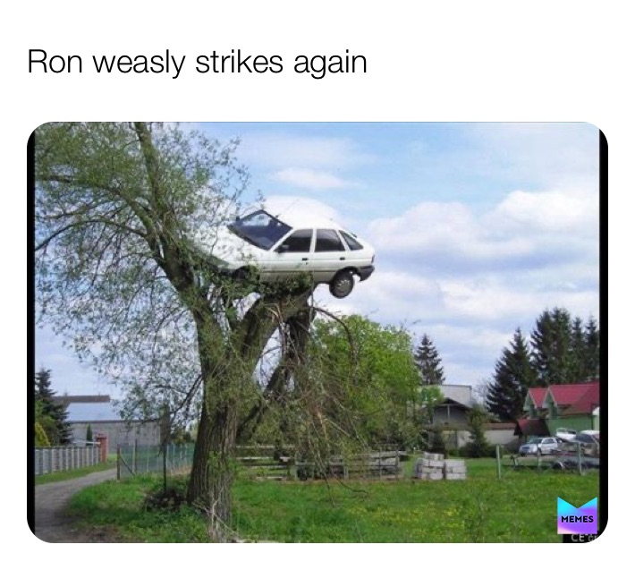 Meme by stikbot_kid_6000