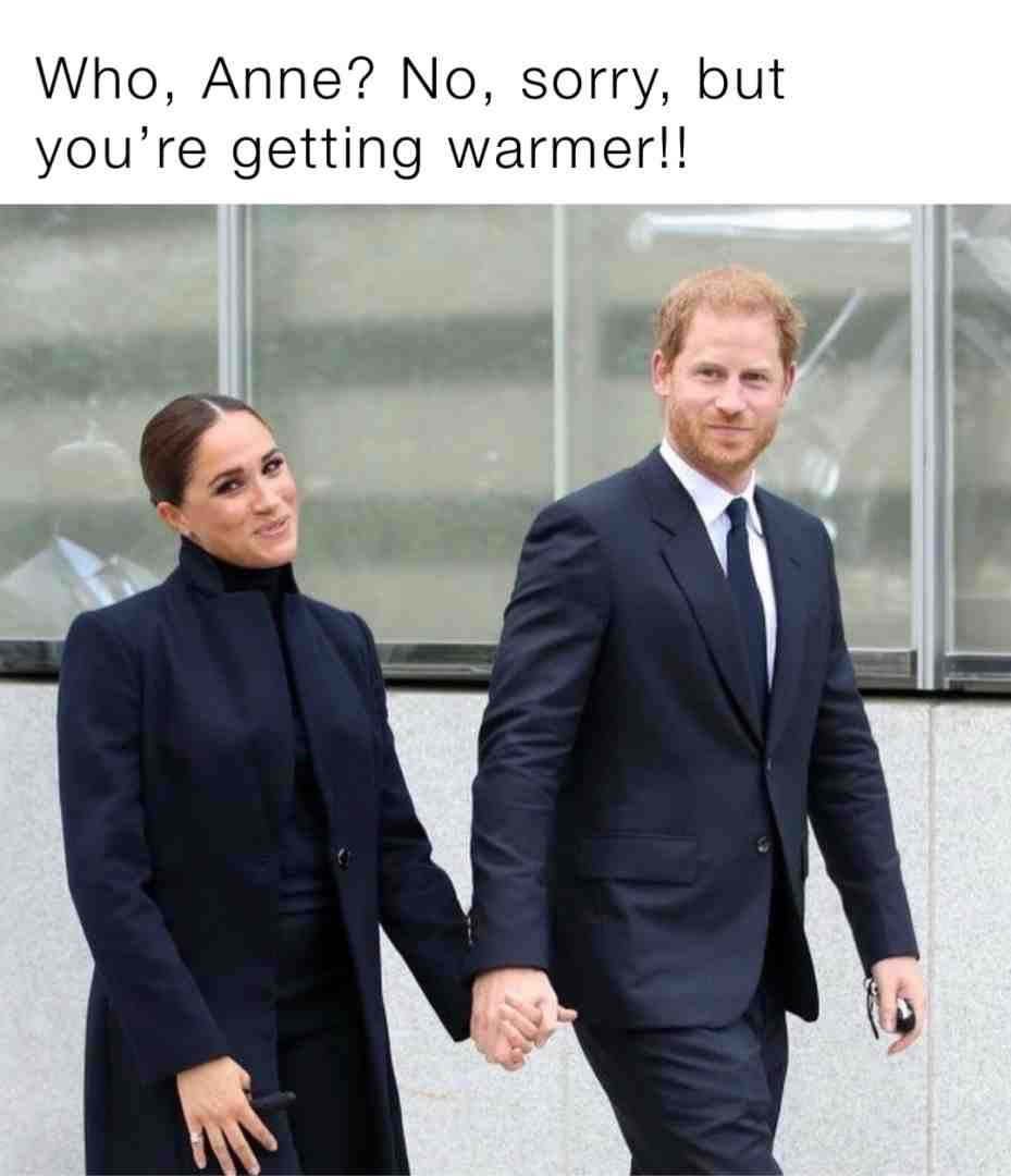 Let’s play “Which Royal said it?” #meghanmarkle #racism #princeharry #royals