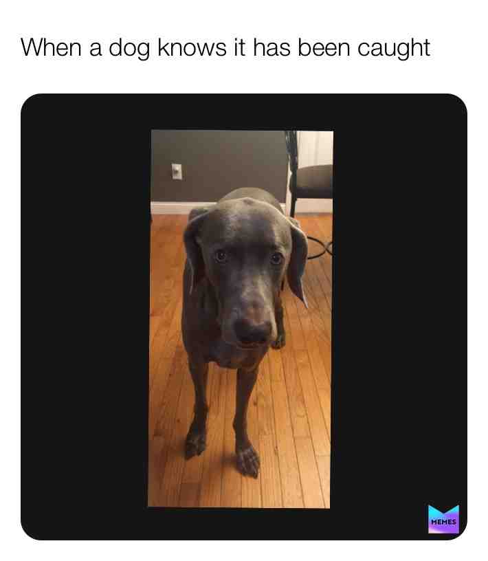 #guilty