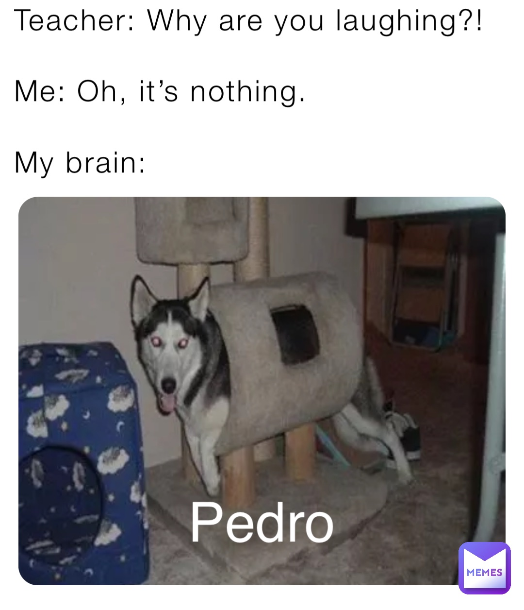 Teacher: Why are you laughing?!

Me: Oh, it’s nothing.

My brain: Pedro