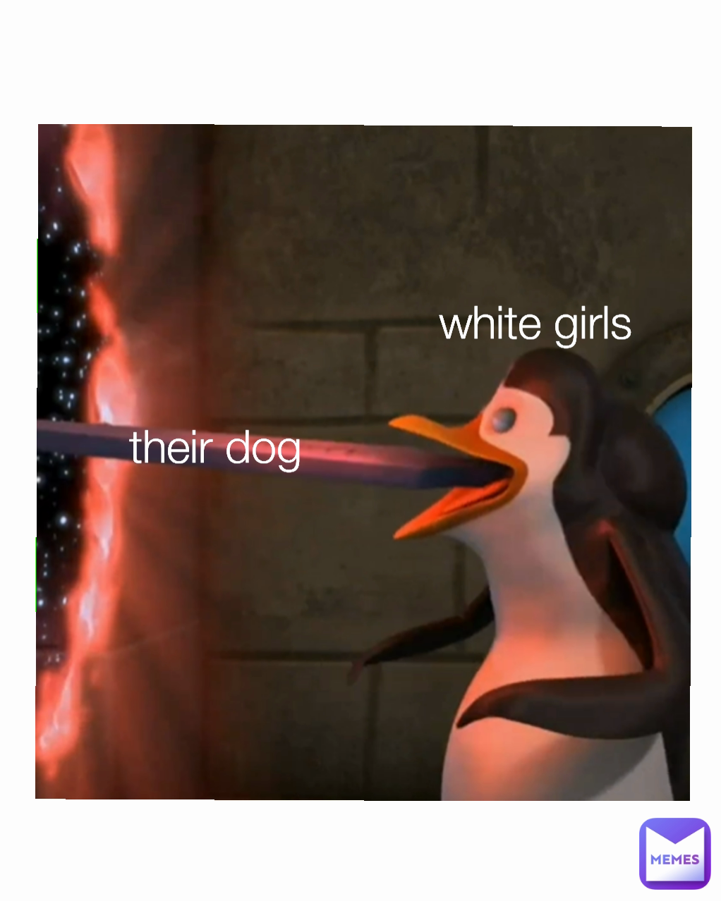 their dog white girls