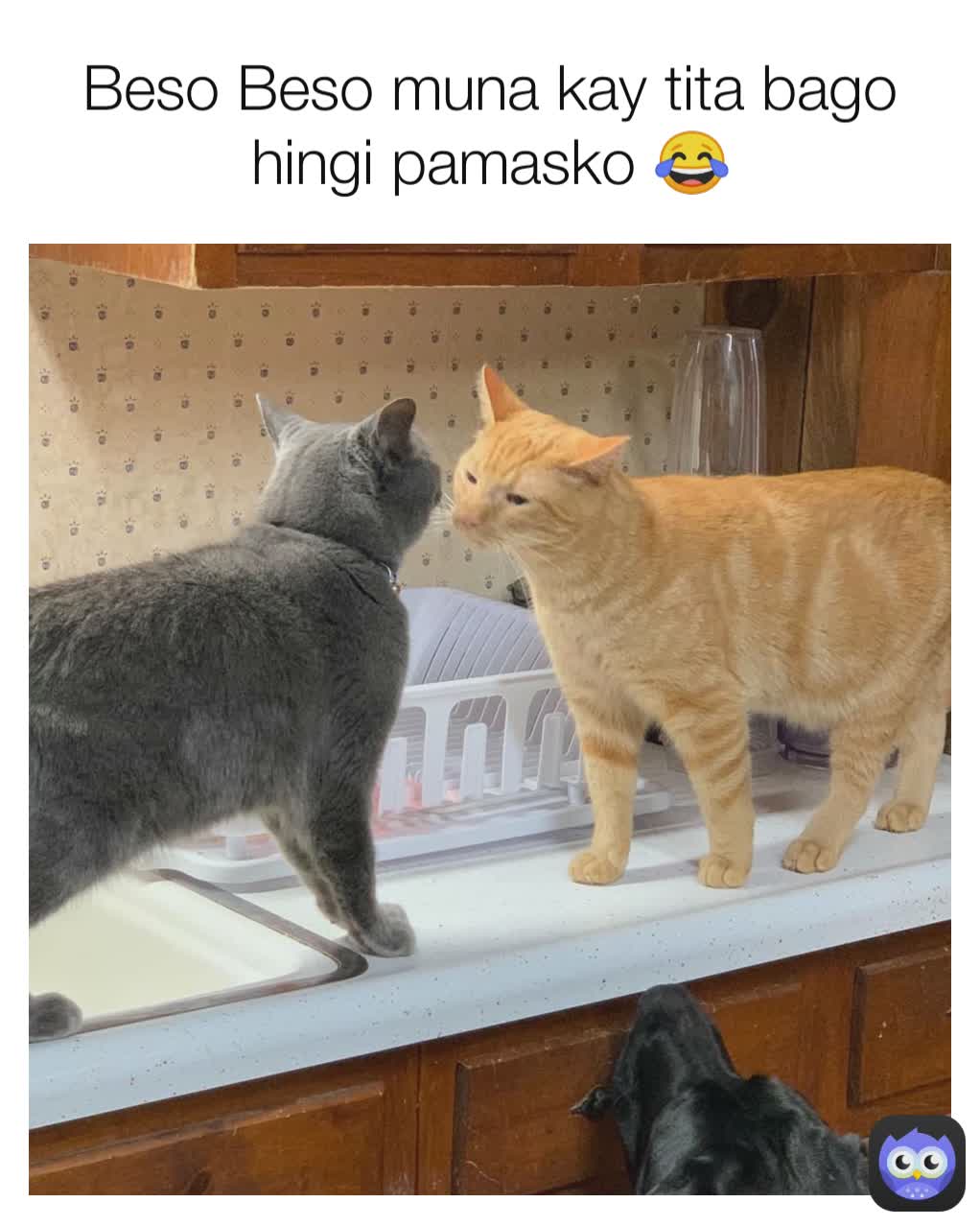 Beso Beso muna kay tita bago hingi pamasko 😂