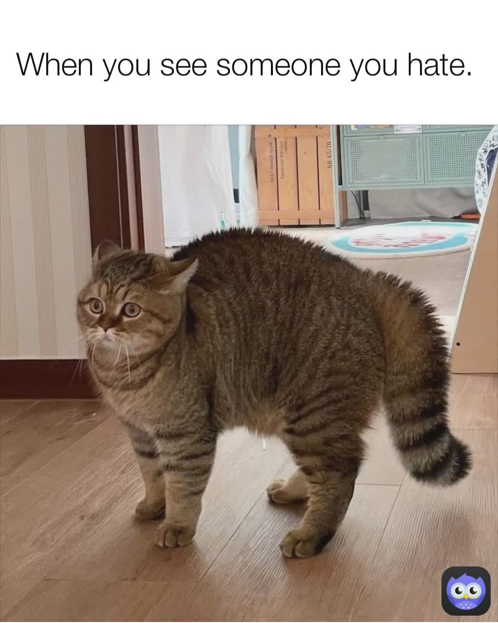 When you see someone you hate. 