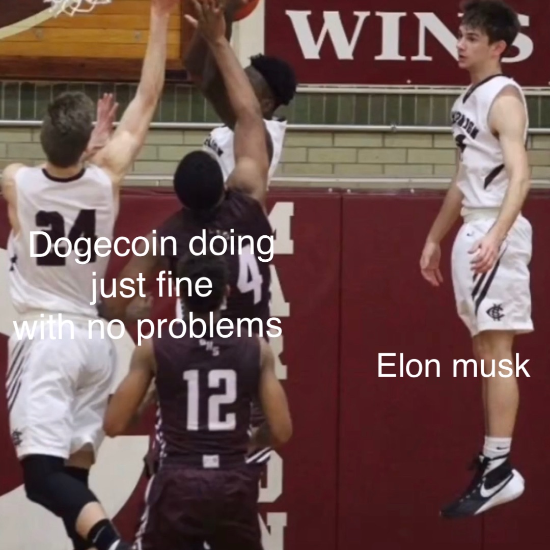 Dogecoin doing just fine 
With no problems Elon Musk
