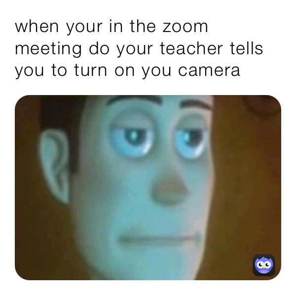 when your in the zoom meeting do your teacher tells you to turn on you camera 