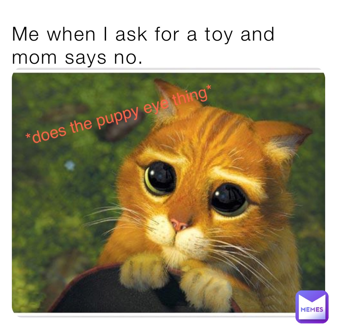 Me when I ask for a toy and mom says no. *does the puppy eye thing*