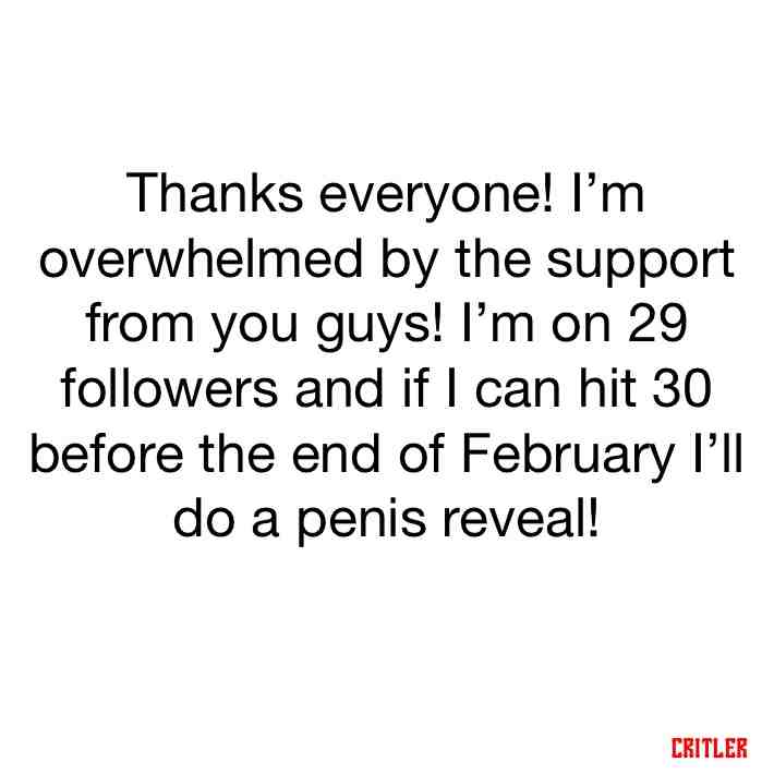 I just love all the attention 😎👀  #memes  #meme  #memesdaily  #me  #followers  #reveal