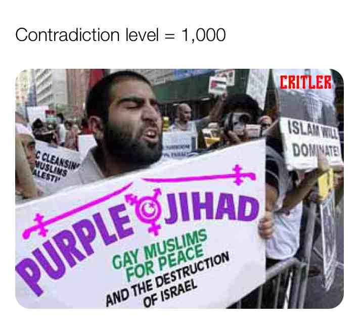 Gay or Muslim? Peace or destruction? 🧐🤔 fuck knows  #confused  #gay  #religion  #memes