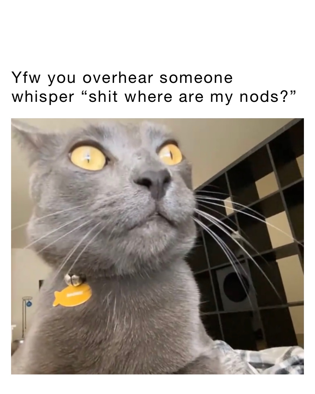 YFW you overhear someone whisper “shit where are my nods?”