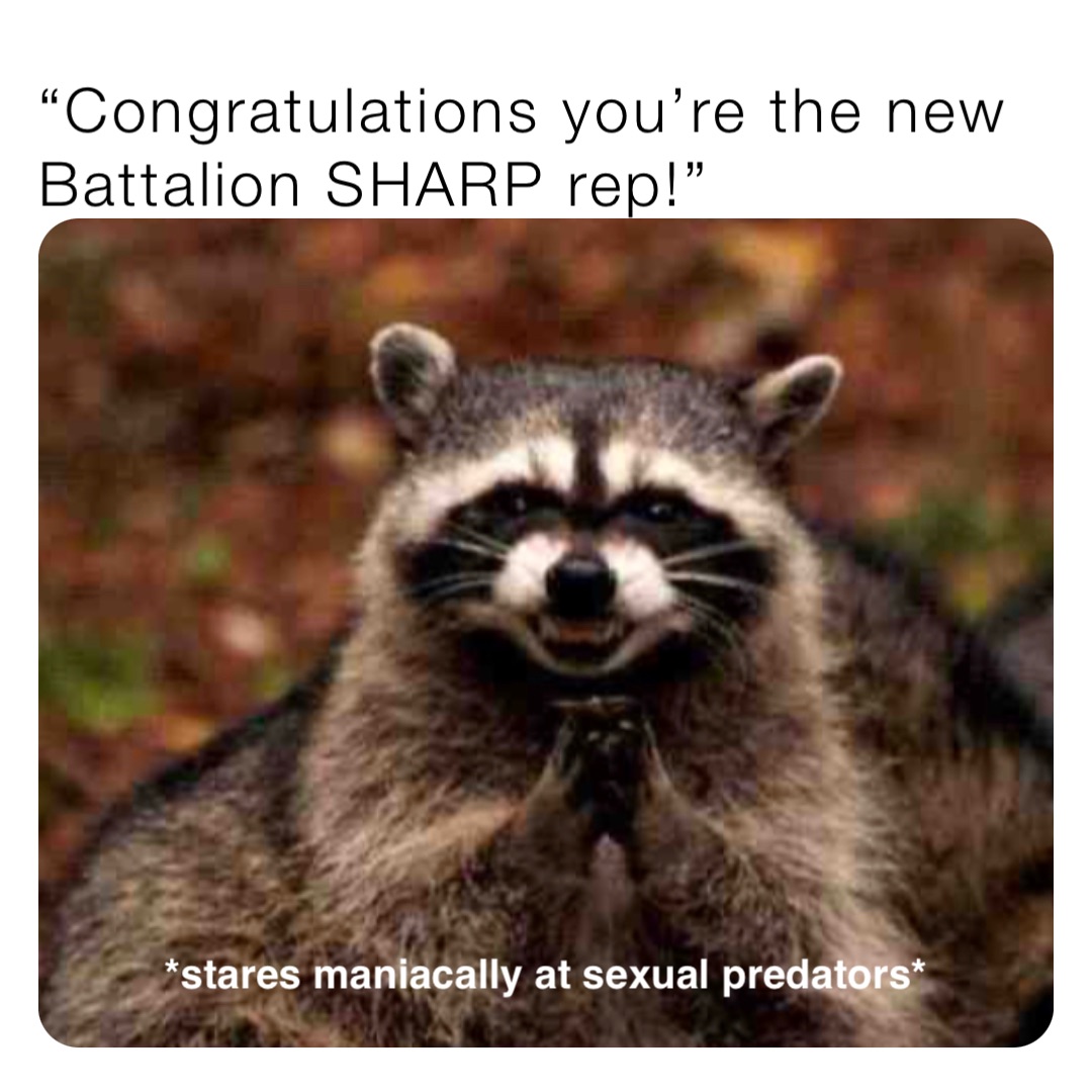 “Congratulations you’re the new Battalion SHARP rep!” *stares maniacally at sexual predators*