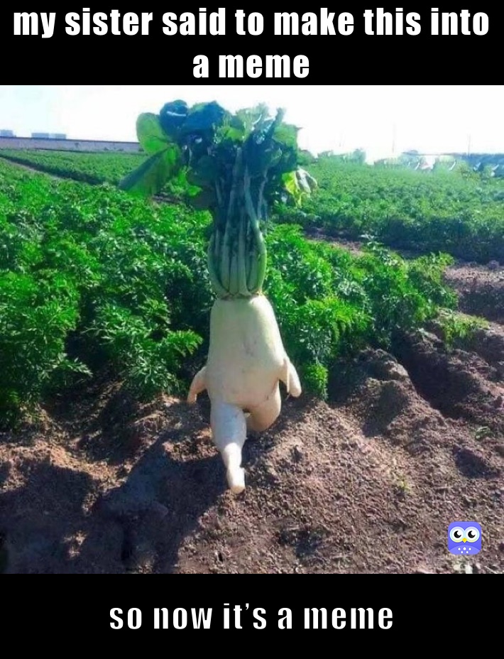 my sister said to make this into a meme so now it’s a meme