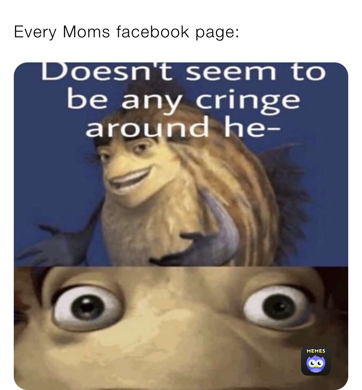 Every Moms facebook page: