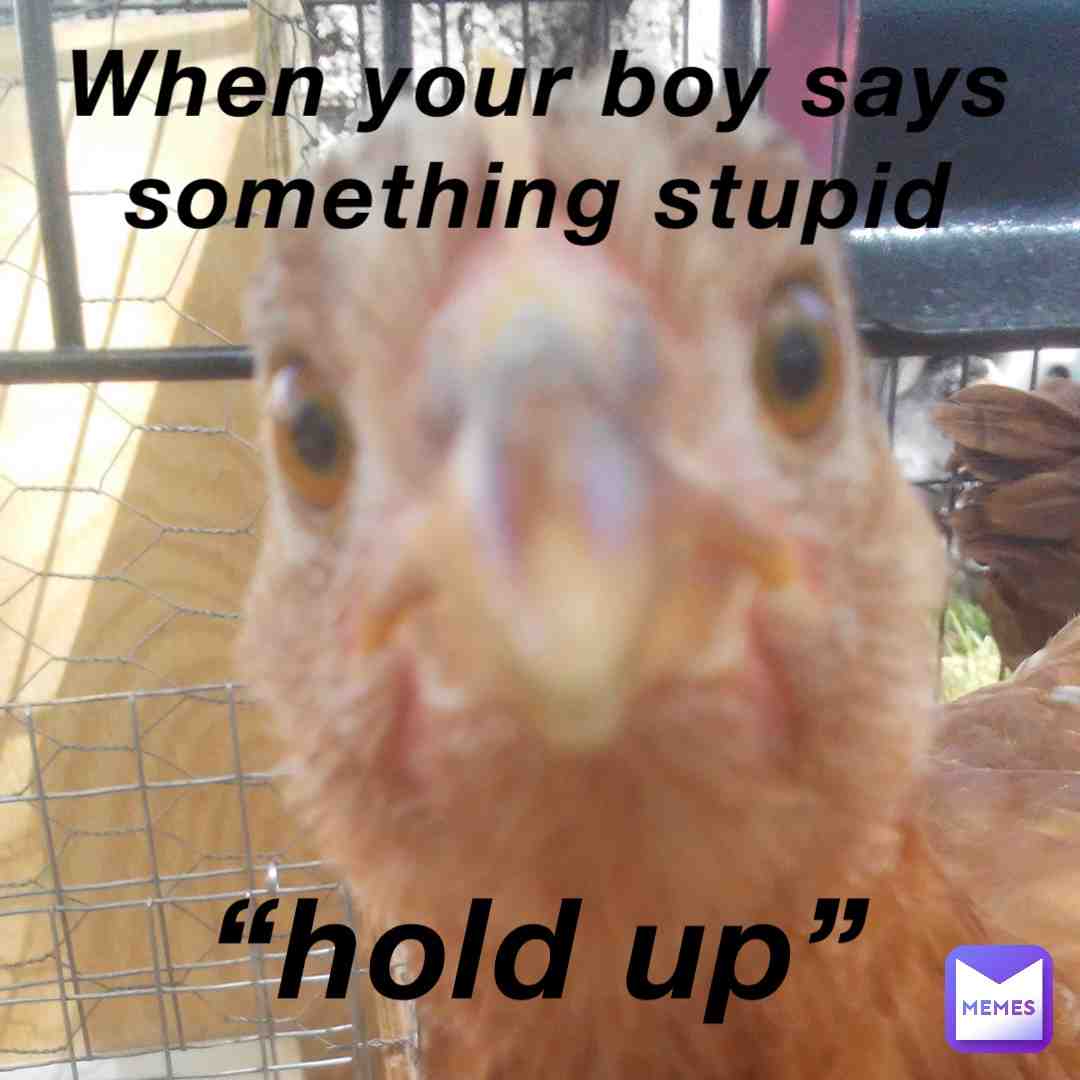 Meme preview