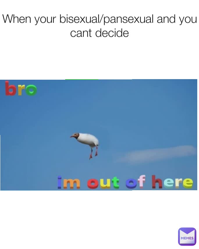 When your bisexual/pansexual and you cant decide