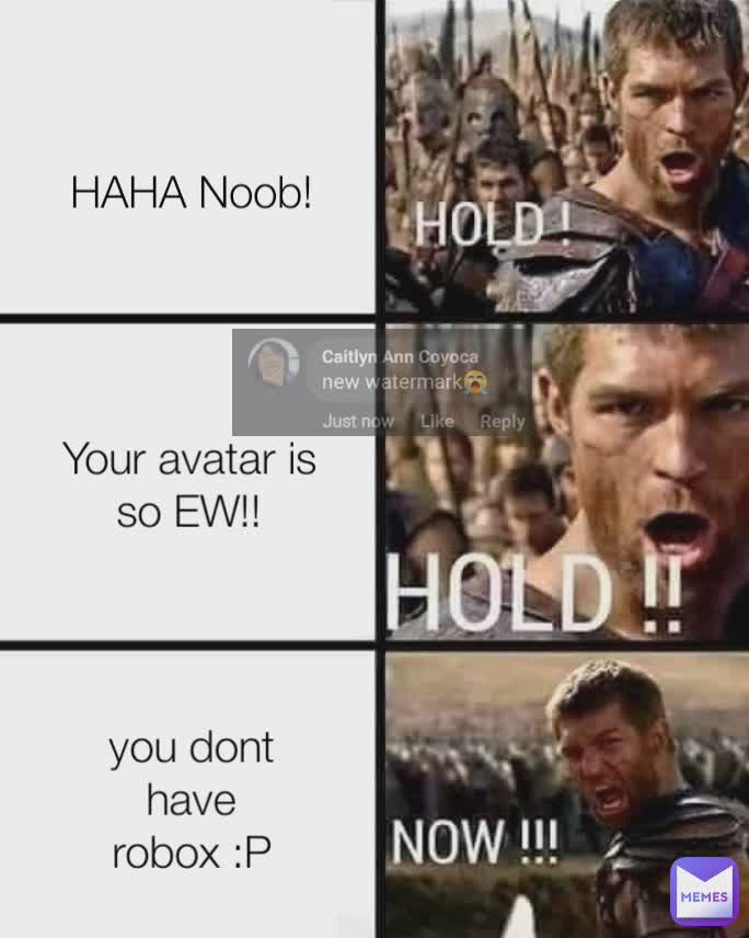 Type Text HAHA Noob! Your avatar is so EW!! you dont have robox :P