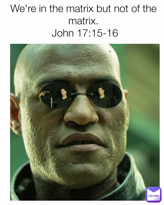 We're in the matrix but not of the matrix.
 John 17:15-16