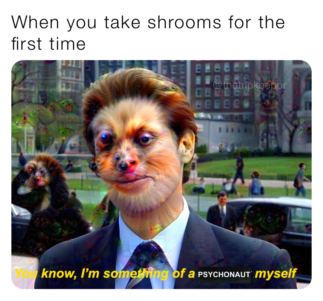 When you take shrooms for the first time