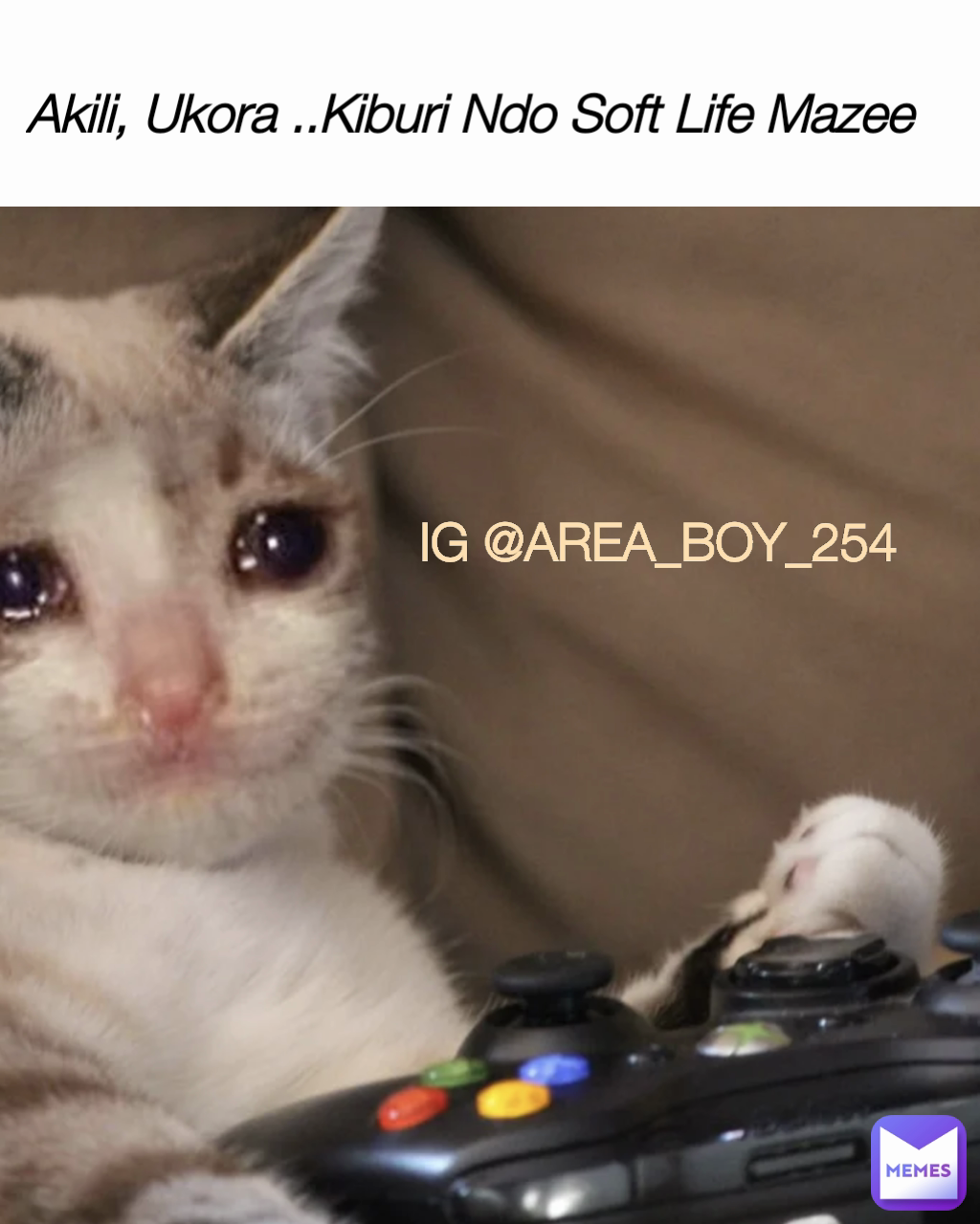 Akili, Ukora ..Kiburi Ndo Soft Life Mazee IG @AREA_BOY_254