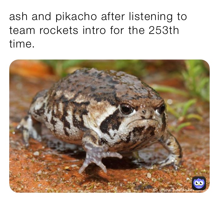 ash and pikacho after listening to team rockets intro for the 253th time.