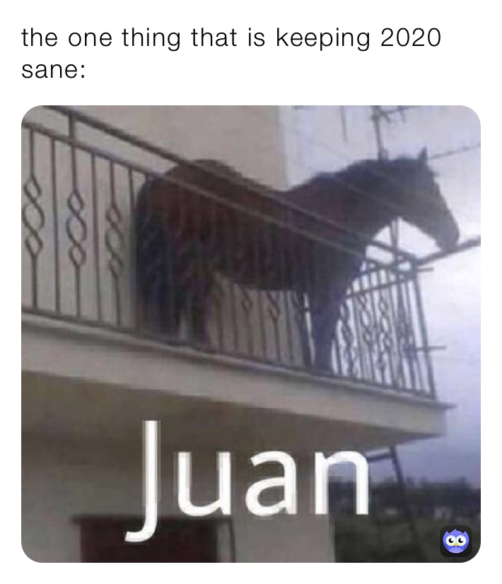 the one thing that is keeping 2020 sane: