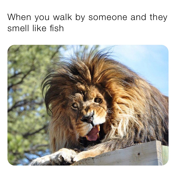 When you walk by someone and they smell like fish Liltrell1017 Memes