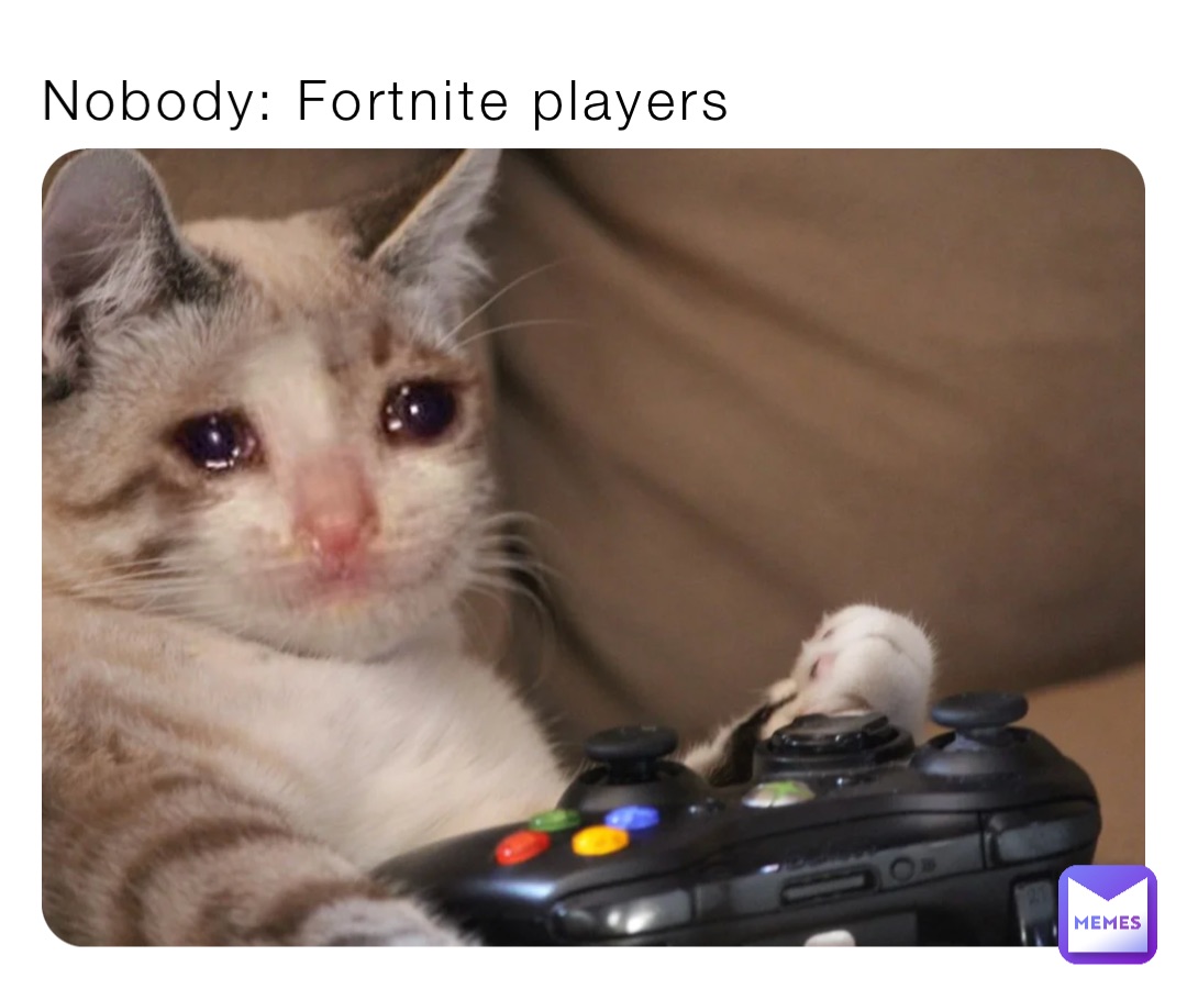 Nobody: Fortnite players