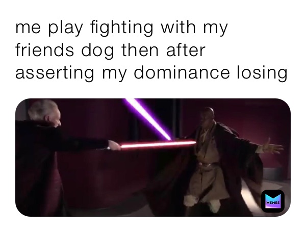 me play fighting with my friends dog then after asserting my dominance losing