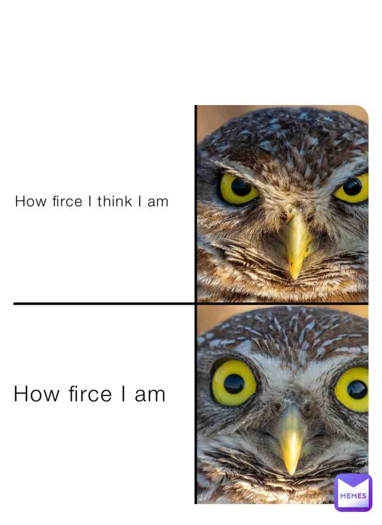 Meme preview