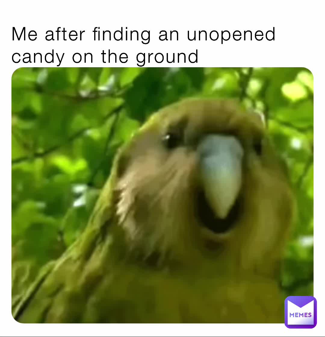Candy From the ground