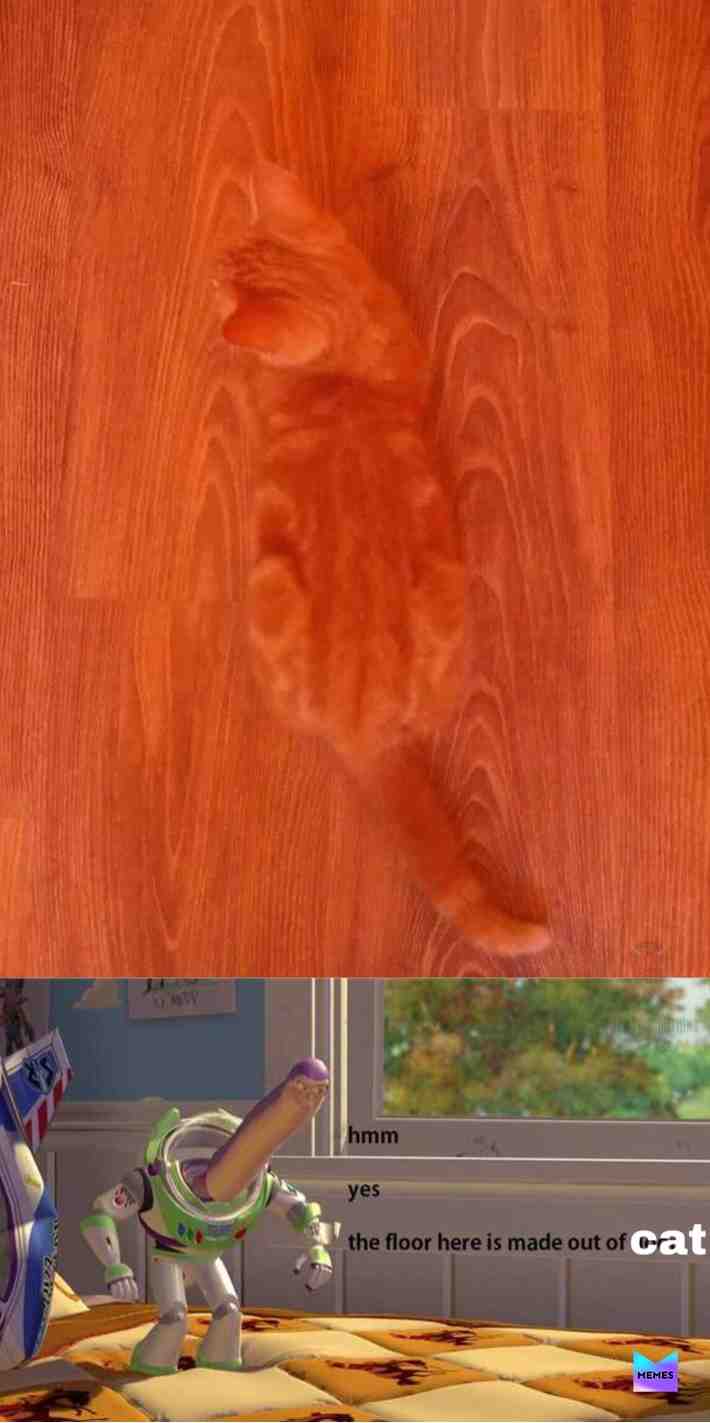 #cat