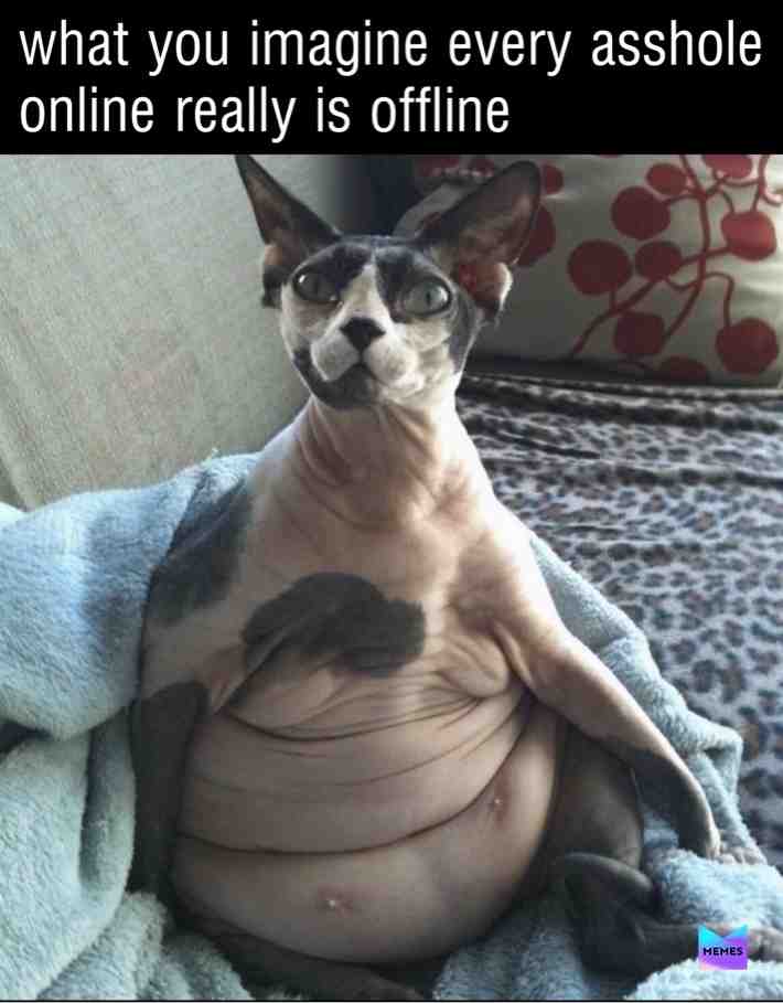 #fat  #pussy