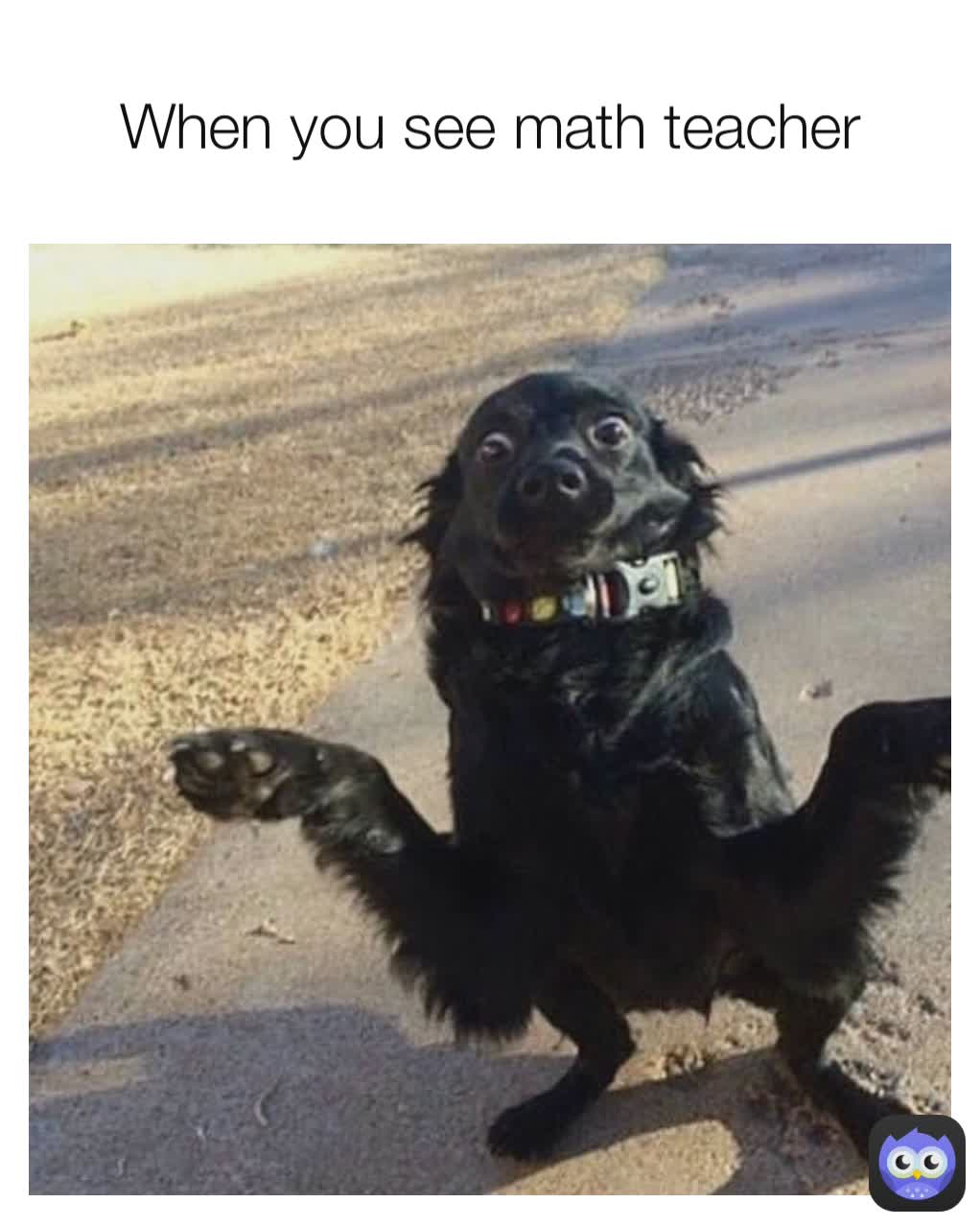 When you see math teacher