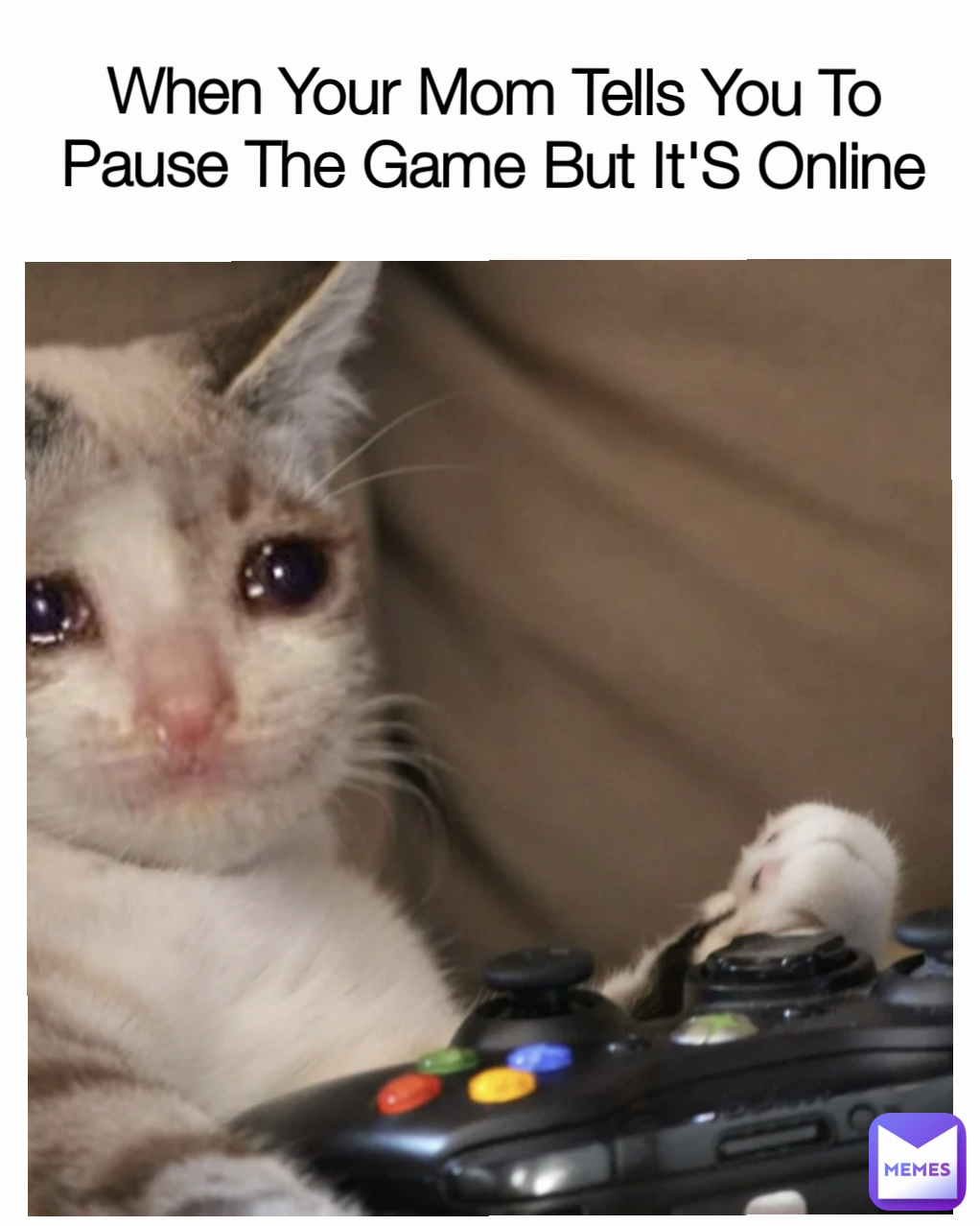 Meme by A.U.T.I.S.T.I.C.MEMER