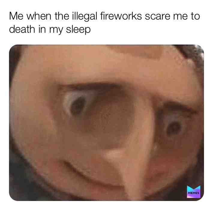There must be a fireworks pandemic starting #fireworks #scared #loud #memes #gru #grumemes #despicableme