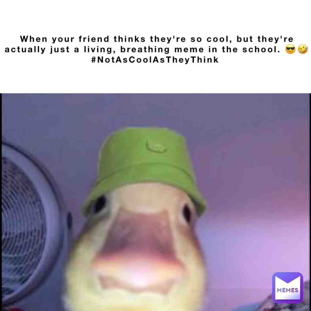 We all have that one friend.