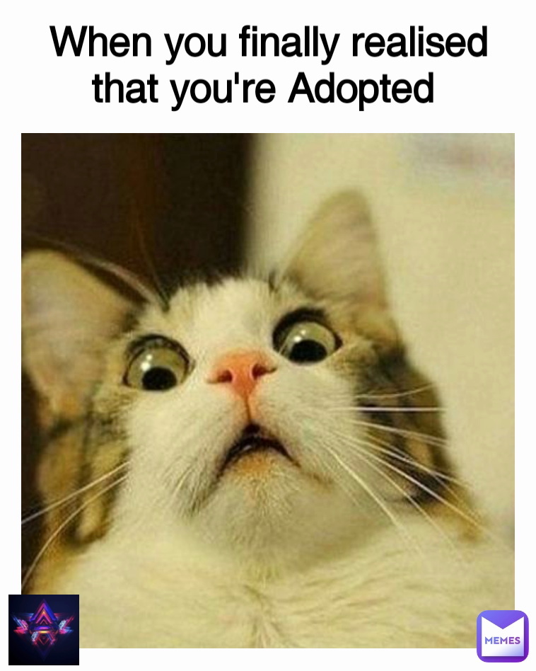 Meme by codeinfotrex