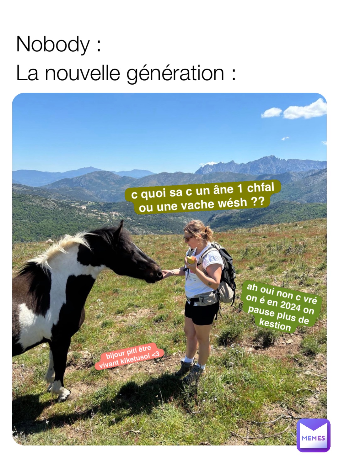 Nobody :
La nouvelle génération : c quoi sa c un âne 1 chfal 
ou une vache wésh ?? ah oui non c vré 
on é en 2024 on 
pause plus de kestion bijour piti être 
vivant kiketusoi <3